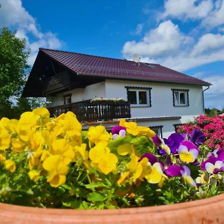 Ferienwohnung Eva Grebenhain Экстерьер фото