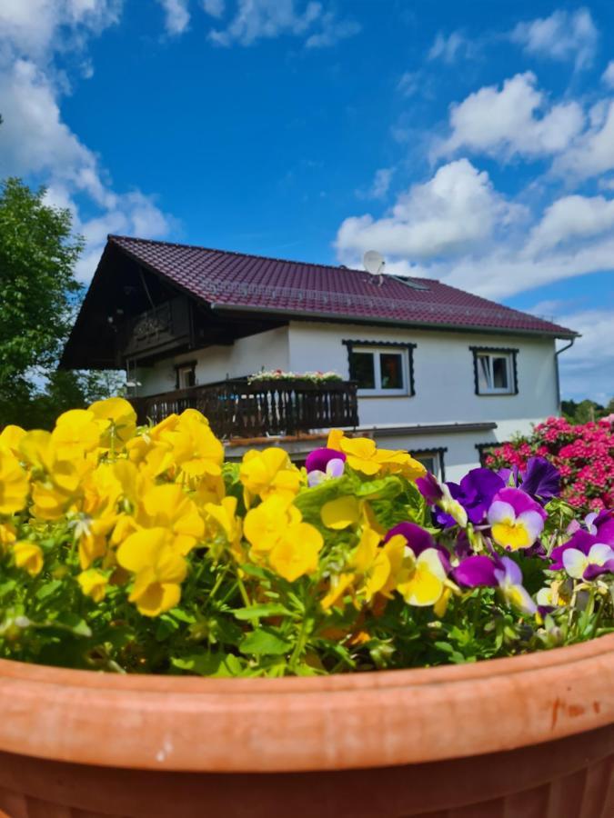 Ferienwohnung Eva Grebenhain Экстерьер фото